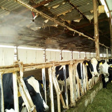 Load image into Gallery viewer, TBD06043191_B3.jpg@7f5497e627a8eec9723596df37712e0c