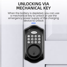 Load image into Gallery viewer, TBD06043281_B6.jpg@8648b89f8692f7e662ccd2cfe82da6b7