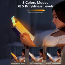 Load image into Gallery viewer, TBD06043928_B7.jpg@12d51326451f242eb75397f65e23a87e