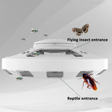 Load image into Gallery viewer, TBD06044151_B6.jpg@0855ba88e355e3e48826db8edba1e700