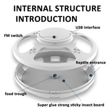 Load image into Gallery viewer, TBD06044151_B8.jpg@a7314a42bb2426a455112a7e54270c58