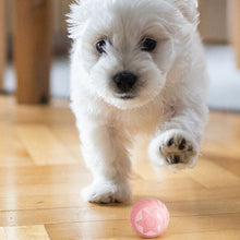 Load image into Gallery viewer, TBD06044274_B9.jpg@608b810142eb1ee0532aa5a5cbe7d105