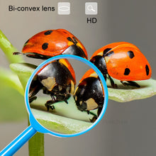 Load image into Gallery viewer, TBD06045078_8.jpg@93e6e983dd6850e96308c0c294794d59