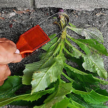 Load image into Gallery viewer, TBD06045244_B5.jpg@f7940ffcb6cd65bd7fc5073b3cdc6b86