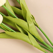 Load image into Gallery viewer, TBD06045769_B3.jpg@76ac63375e533612e1bbc68d3fc4d28e