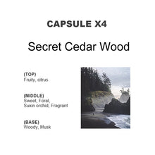 Load image into Gallery viewer, TBD0604594701D_1.jpg@b45f5b7c42fe9dfa82ecdc73dfab9ac0