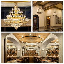 Load image into Gallery viewer, TBD06046278_B4.jpg@157b84e0284d02428cf9b3c2329c4493