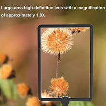 Load image into Gallery viewer, TBD06046326_B4.jpg@97353e0cf45b10dd6b07abd8d0f10d17