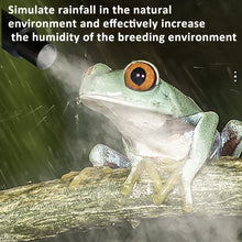 Load image into Gallery viewer, TBD06046753_B2.jpg@5eb8f0c1bc18d121ae9a17c17c882bb9