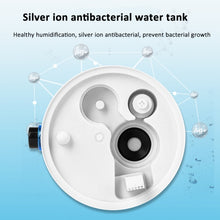 Load image into Gallery viewer, TBD06046753_B3.jpg@500aa92deaf8d6c56d166e8607d904c1