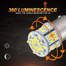 Load image into Gallery viewer, TBD06047227_B3.jpg@9c77ac277092a15cf9ae7706694830d6