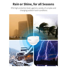 Load image into Gallery viewer, TBD06047249_B11.jpg@1bb23c7241cf833f902801a305c1a68f