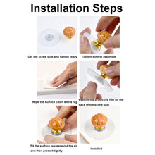 Load image into Gallery viewer, TBD06047302_B6.jpg@296a78505a56a88f0cb145e8cc6a27ad