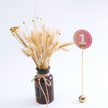 Load image into Gallery viewer, TBD06047367_B1.jpg@79a6135eecb770243ebcdf2774296ea0