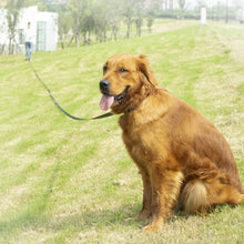 Load image into Gallery viewer, TBD06047496_B4.jpg@dd135951ba1623576abd43a2dc22bdb7