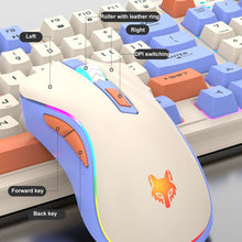 Load image into Gallery viewer, TBD06047773_B8.jpg@be652a0d887cd73cf33902fa3689f9df