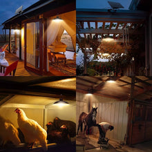 Load image into Gallery viewer, TBD06047891_B8.jpg@c3756887e8fcfd0993f1ac11e7ebf5db