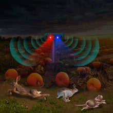 Load image into Gallery viewer, TBD06048151_B9.jpg@69726da687d2160f885956a96dbc396d