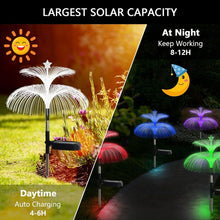 Load image into Gallery viewer, TBD06048201_B6.jpg@6e76a7f6ba788ac780063aea20e134df