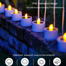 Load image into Gallery viewer, TBD06048225_B7.jpg@9a4f755a860b3983b350fb8a4b2eddde