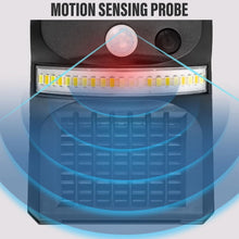 Load image into Gallery viewer, TBD06048699_B6.jpg@352728491fd75ca3e976b3b4b421a504