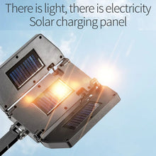 Load image into Gallery viewer, TBD06048750_B5.jpg@9051661fe02b2eb29e903fa7a2ae47a4