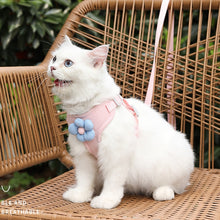 Load image into Gallery viewer, TBD06048760_B5.jpg@c1058f6861d5ba439af04346ff5cedb1