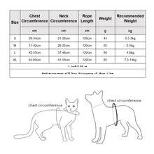 Load image into Gallery viewer, TBD06048760_B6.jpg@80bc0515a4b20ca50655e2bd6c91b91f