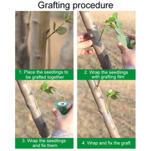 Load image into Gallery viewer, TBD06049119_B7.jpg@b189a83b8117e06fcb349a2aad4a6fdd