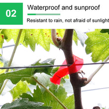 Load image into Gallery viewer, TBD06049129_B4.jpg@1be44605c80935233e1fc4150ca52058