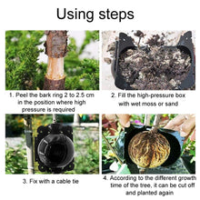 Load image into Gallery viewer, TBD06049159_B8.jpg@7655e56f9c8a6f97c5cc08462ae1e3d7