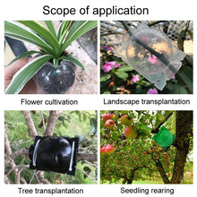 Load image into Gallery viewer, TBD06049159_B9.jpg@7df7d2ca0826f21ff439eb15dcfce8cc