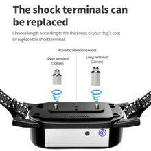 Load image into Gallery viewer, TBD06049409_B4.jpg@5fb0b059a9b6654628d00011db2e24c0