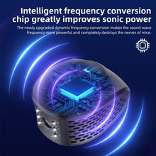 Load image into Gallery viewer, TBD06049640_B6.jpg@f5ca6be901949b92c119d54d74cb41ad