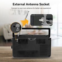 Load image into Gallery viewer, TBD06049690_B4.jpg@9069b844fba216e9cbd2bfbefbd26240