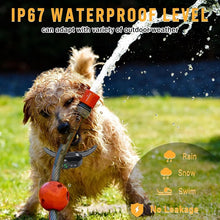 Load image into Gallery viewer, TBD06049989_B6.jpg@a5d12f32374c12898c6c0c5360df82fb