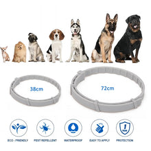 Load image into Gallery viewer, TBD06050011_B2.jpg@6344cda5e6b69aa8df12d90a7232ab37