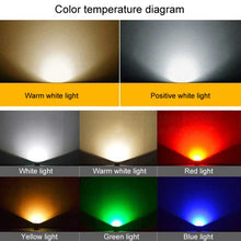 Load image into Gallery viewer, TBD06050946_B9.jpg@0a2446eacd71f0d7c41d297dddf77cb5