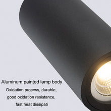 Load image into Gallery viewer, TBD06050951_B5.jpg@b89b4f61ce2435611069862b397f22ac