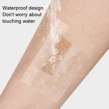 Load image into Gallery viewer, TBD06050982_B6.jpg@edbc67b4bae50ec23c3c6dd8d4c2e6e9