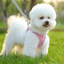 Load image into Gallery viewer, TBD06051101_B1.jpg@20011af94f90b894cca8e793a58974ce