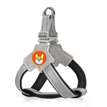 Load image into Gallery viewer, TBD0605111502B.jpg@c7f07ecf92719d5e0cb1f18d1ae32d9b