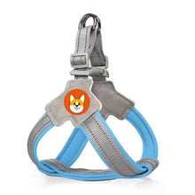 Load image into Gallery viewer, TBD0605111503D.jpg@f36c9a1c0c59fca2a060586ef4764d2d