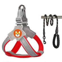 Load image into Gallery viewer, TBD0605111507C.jpg@d21e5cfb81791719c961ea77020bf1eb