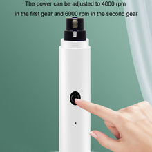 Load image into Gallery viewer, TBD06051458_B7.jpg@7b0b5bbe176229d938a3e5146ca842a9