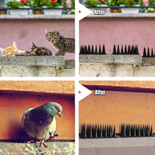 Load image into Gallery viewer, TBD06052008_B6.jpg@b21b2645e902b6d674ef626472638a28