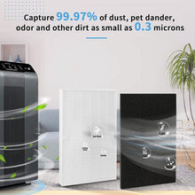 Load image into Gallery viewer, TBD06052437_5.jpg@83b0e13da41de6fb656019caee418694