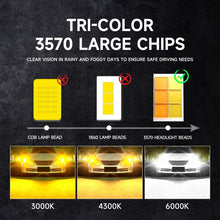 Load image into Gallery viewer, TBD06052465_B5.jpg@c286a622fda58326a012b5b698a03402