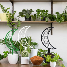 Load image into Gallery viewer, TBD06052632_B1.jpg@f63b90e66f67e10359f3dd3151da1955