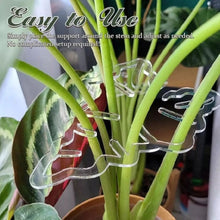 Load image into Gallery viewer, TBD06052655_B4.jpg@fcd3fbf8edb9042dc2bfe9c00367846b